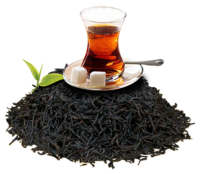 Basics of Ceylon Tea and Why | 紅茶の疑問＆何で？